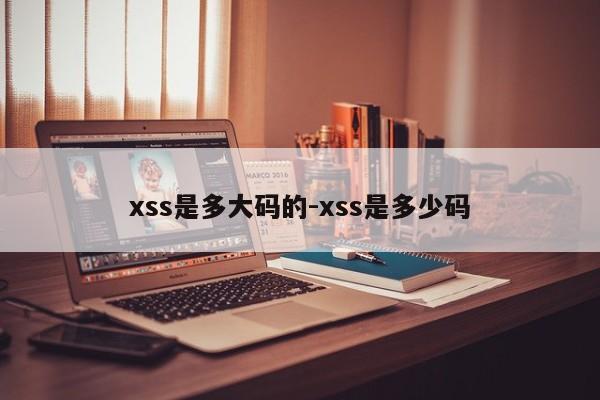 xss是多大码的-xss是多少码