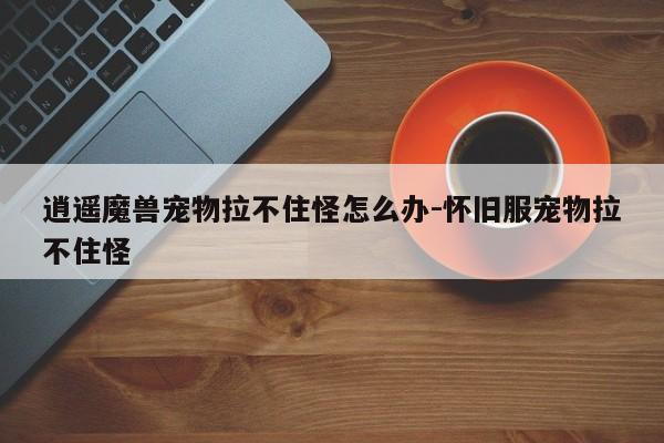 逍遥魔兽宠物拉不住怪怎么办-怀旧服宠物拉不住怪