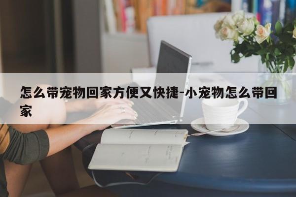 怎么带宠物回家方便又快捷-小宠物怎么带回家