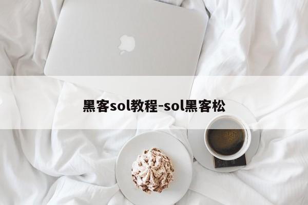 黑客sol教程-sol黑客松