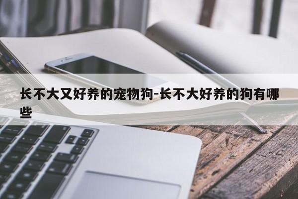 长不大又好养的宠物狗-长不大好养的狗有哪些