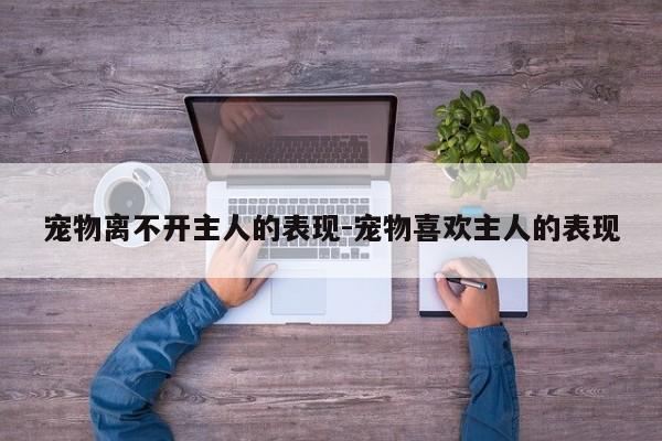 宠物离不开主人的表现-宠物喜欢主人的表现