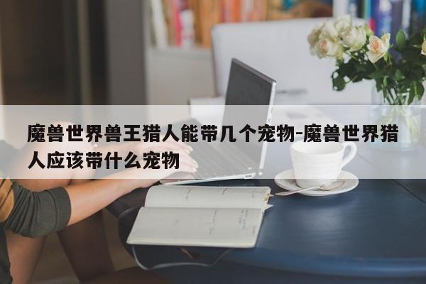 魔兽世界兽王猎人能带几个宠物-魔兽世界猎人应该带什么宠物