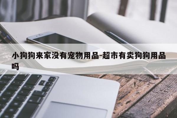 小狗狗来家没有宠物用品-超市有卖狗狗用品吗