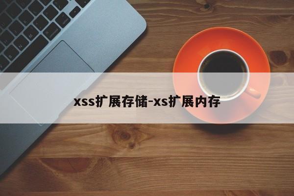 xss扩展存储-xs扩展内存