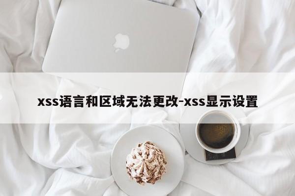 xss语言和区域无法更改-xss显示设置