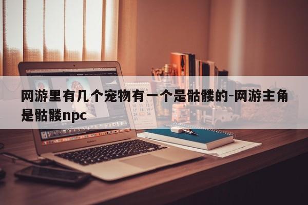 网游里有几个宠物有一个是骷髅的-网游主角是骷髅npc