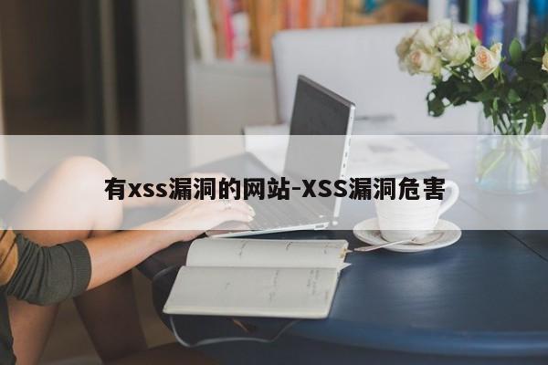 有xss漏洞的网站-XSS漏洞危害