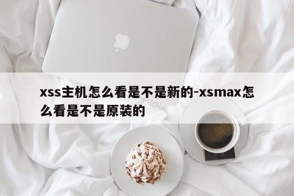 xss主机怎么看是不是新的-xsmax怎么看是不是原装的