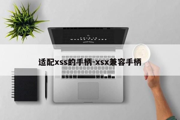 适配xss的手柄-xsx兼容手柄