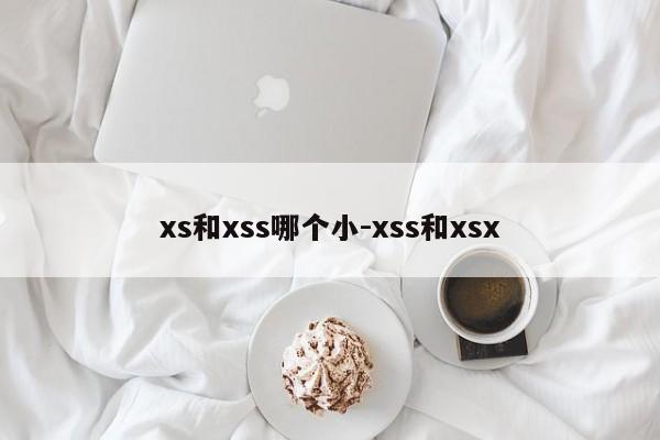 xs和xss哪个小-xss和xsx