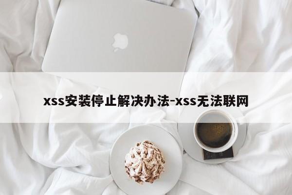xss安装停止解决办法-xss无法联网