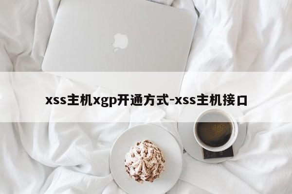 xss主机xgp开通方式-xss主机接口