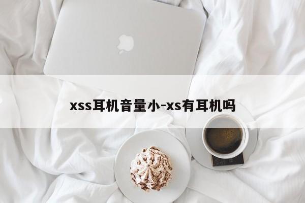 xss耳机音量小-xs有耳机吗