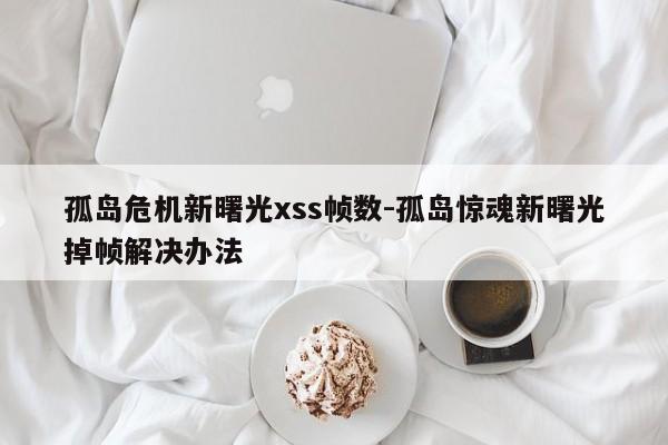 孤岛危机新曙光xss帧数-孤岛惊魂新曙光掉帧解决办法