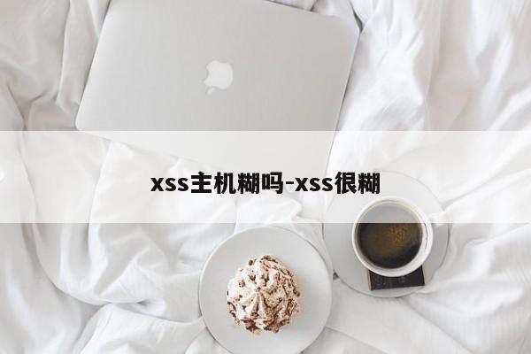 xss主机糊吗-xss很糊