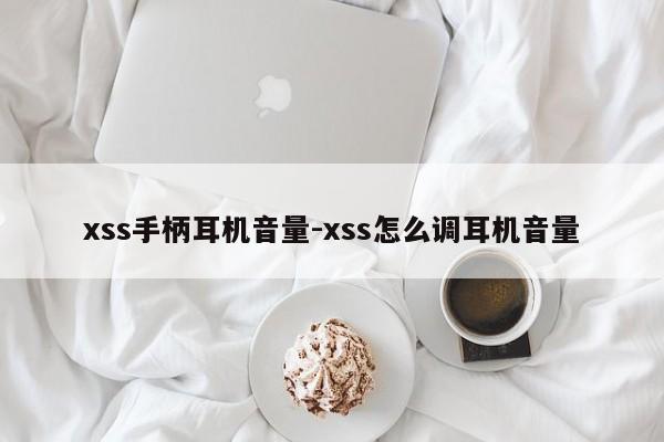 xss手柄耳机音量-xss怎么调耳机音量