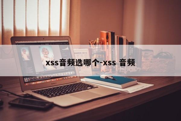 xss音频选哪个-xss 音频