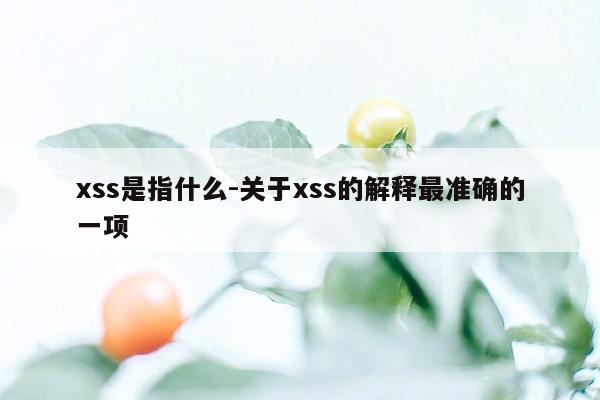 xss是指什么-关于xss的解释最准确的一项