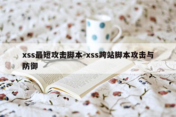 xss最短攻击脚本-xss跨站脚本攻击与防御