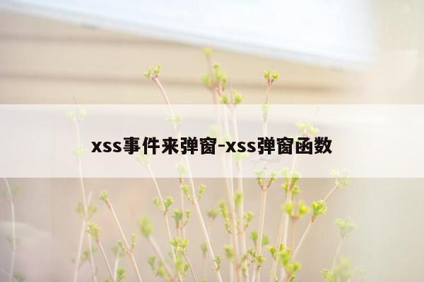 xss事件来弹窗-xss弹窗函数
