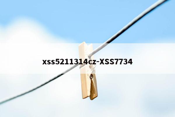 xss5211314cz-XSS7734