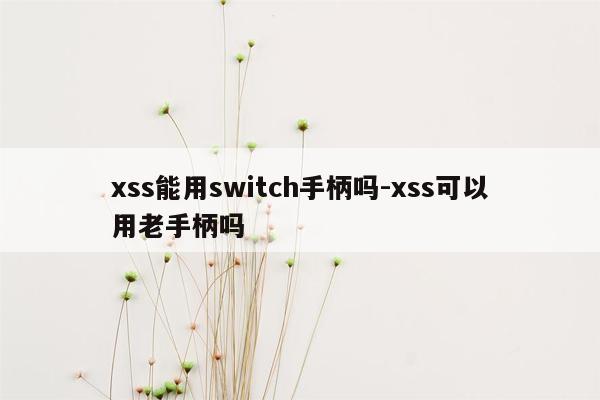 xss能用switch手柄吗-xss可以用老手柄吗
