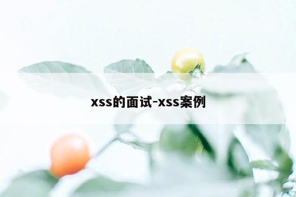 xss的面试-xss案例