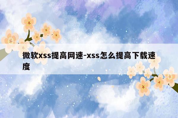 微软xss提高网速-xss怎么提高下载速度