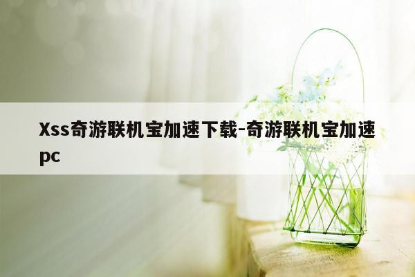 Xss奇游联机宝加速下载-奇游联机宝加速pc