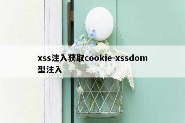 xss注入获取cookie-xssdom型注入