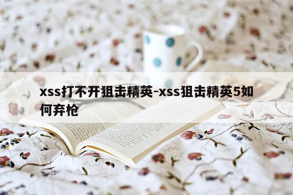 xss打不开狙击精英-xss狙击精英5如何弃枪