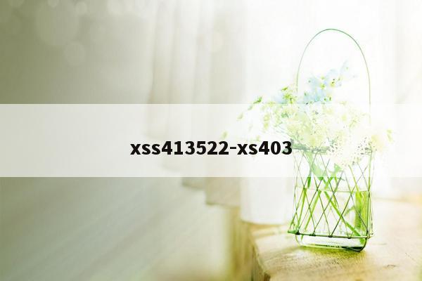 xss413522-xs403