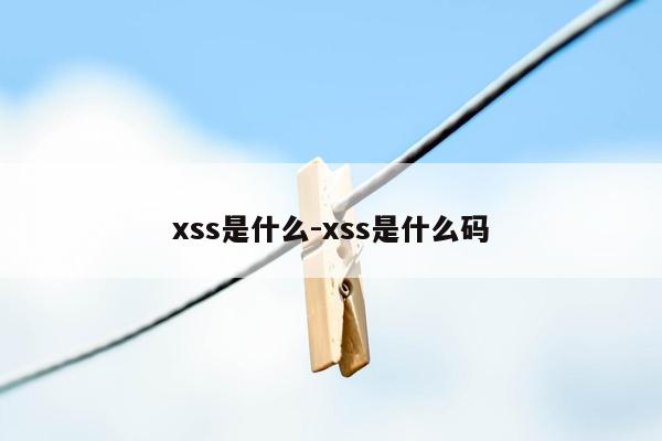 xss是什么-xss是什么码