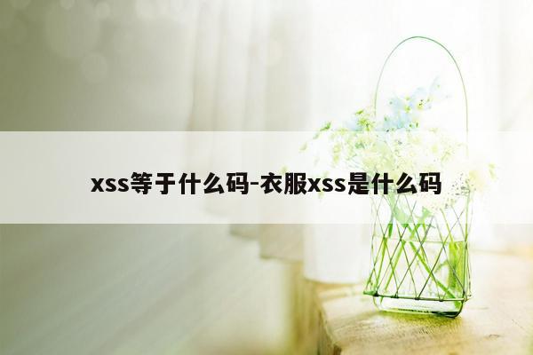 xss等于什么码-衣服xss是什么码
