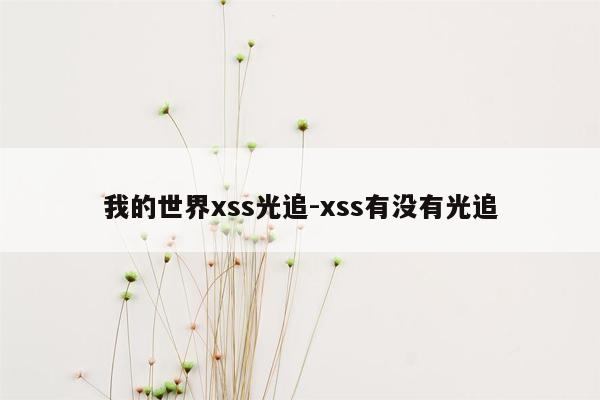 我的世界xss光追-xss有没有光追