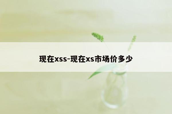 现在xss-现在xs市场价多少