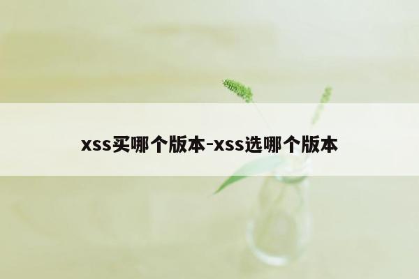 xss买哪个版本-xss选哪个版本