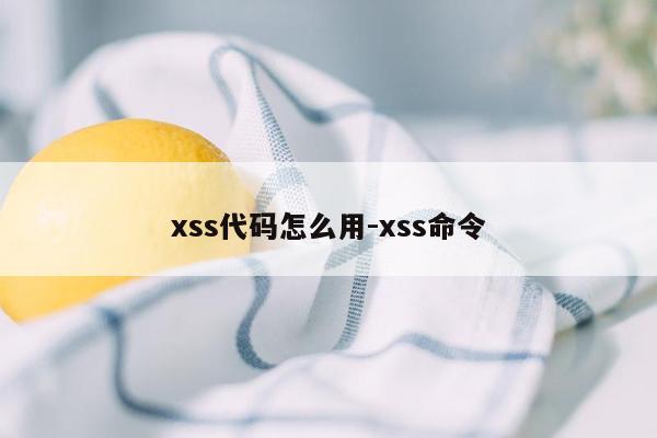 xss代码怎么用-xss命令
