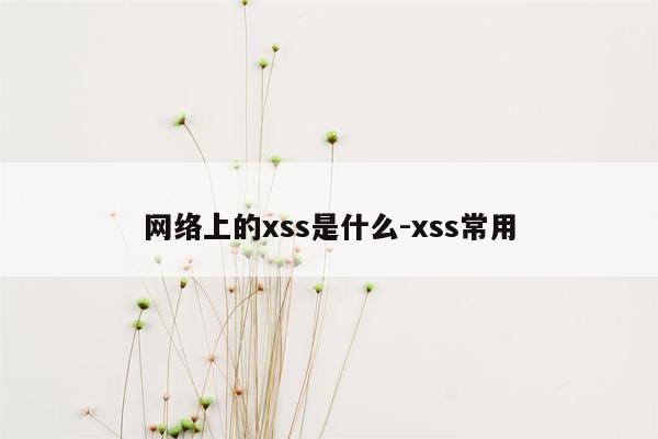 网络上的xss是什么-xss常用