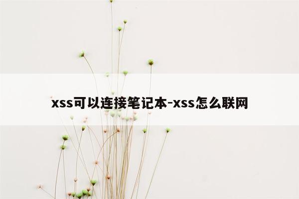 xss可以连接笔记本-xss怎么联网