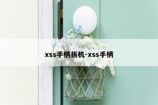 xss手柄拆机-xss手柄