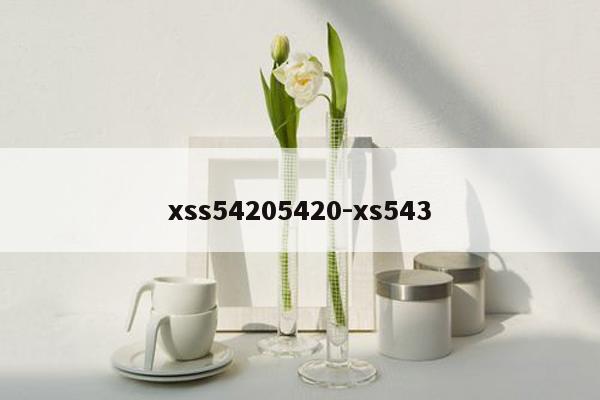 xss54205420-xs543