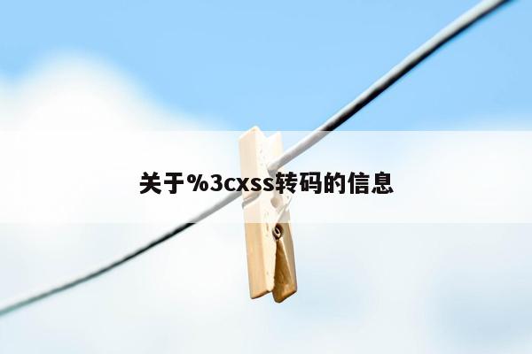 关于%3cxss转码的信息