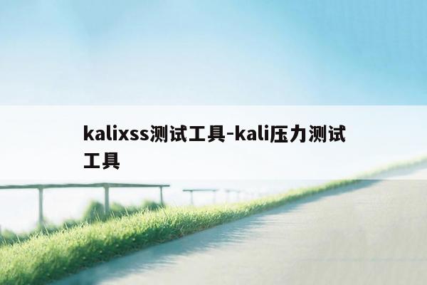 kalixss测试工具-kali压力测试工具