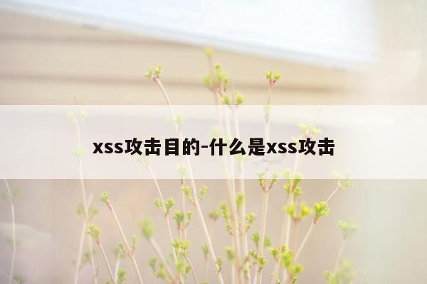 xss攻击目的-什么是xss攻击