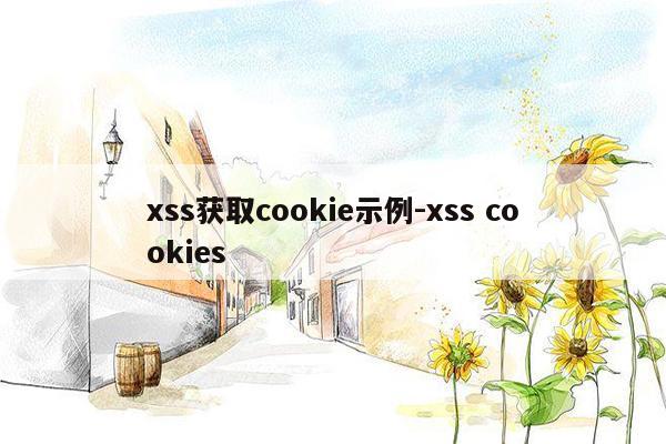 xss获取cookie示例-xss cookies