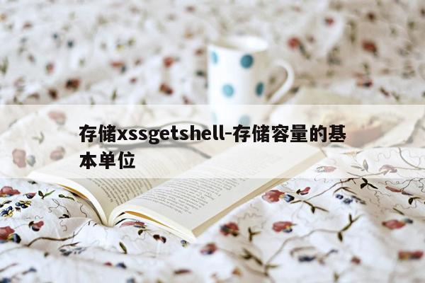 存储xssgetshell-存储容量的基本单位