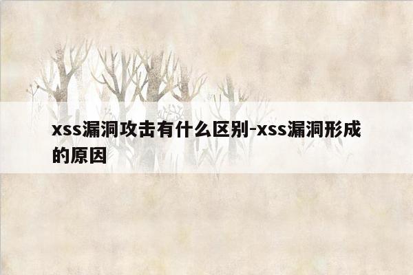xss漏洞攻击有什么区别-xss漏洞形成的原因