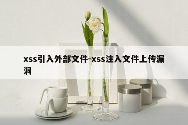xss引入外部文件-xss注入文件上传漏洞